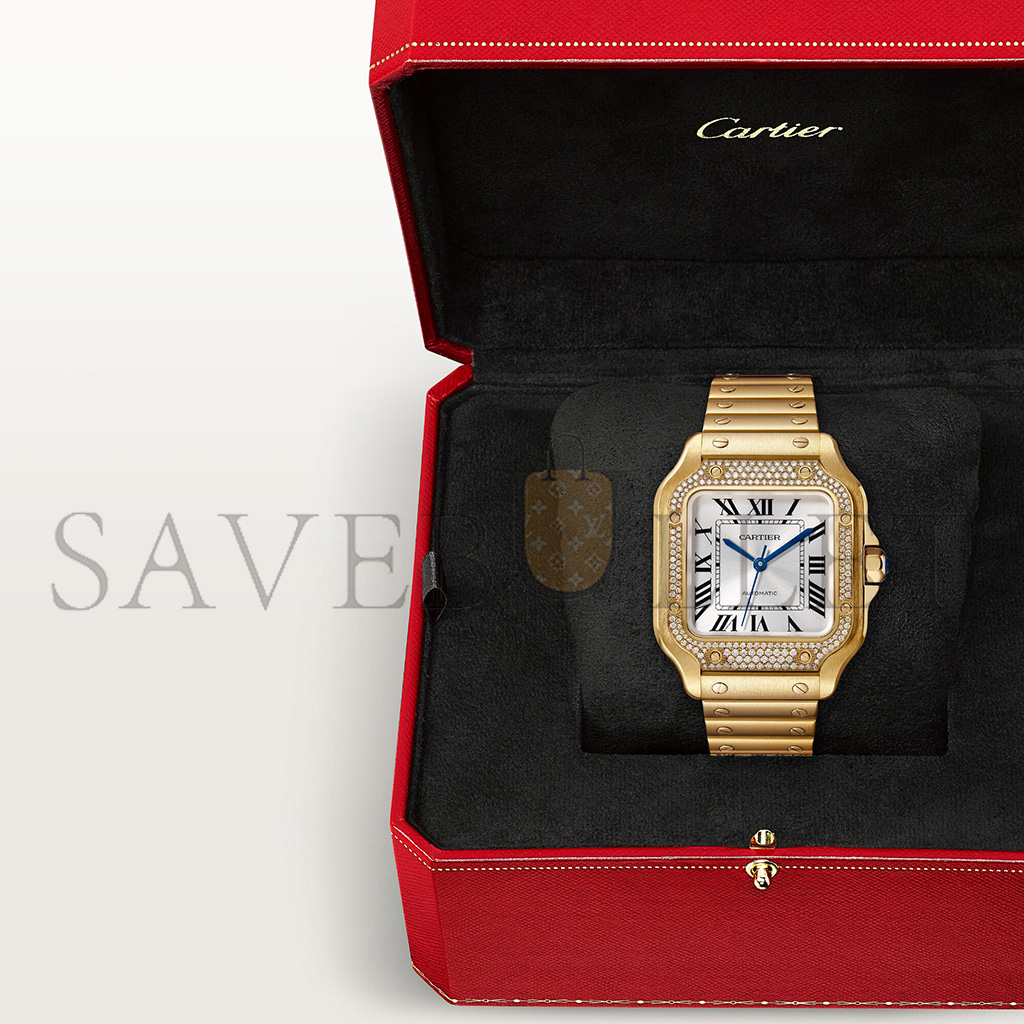 Ca*t*er santos de watch wjsa0010